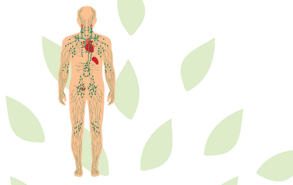 Processus de traitement de chaque patient